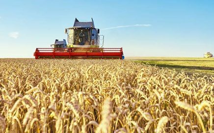 Blog Farmers Support