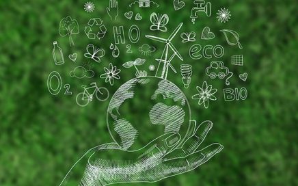 Blog Understand Net Zero